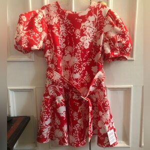 ASOS Puff Sleeve Dress NWT